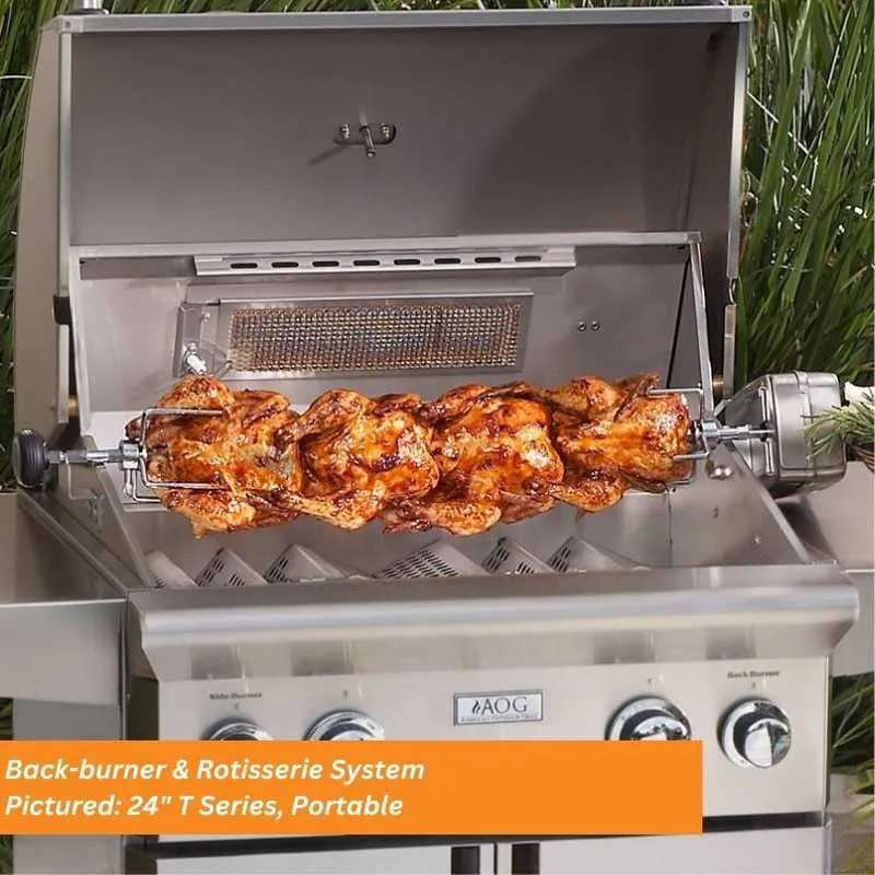 American Outdoor Grill 36" T Series Built-In Gas Grill