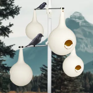 BestNest Classic Purple Martin Gourds and Pole Package