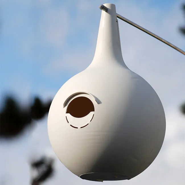 BestNest Classic Purple Martin Gourds and Pole Package