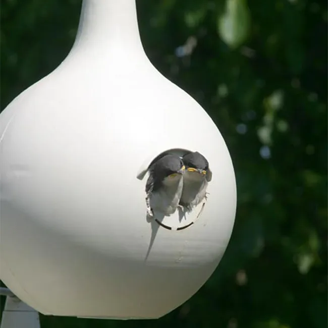 BestNest Classic Purple Martin Gourds and Pole Package