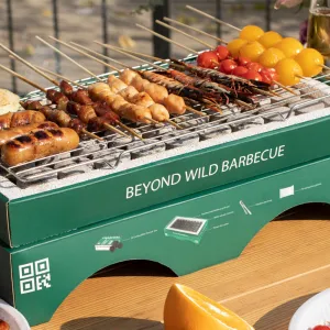 Beyond Wild Disposable Barbecue Grill - Rectangular