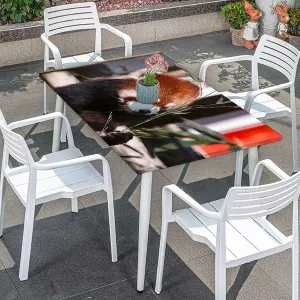 Brown Green Elastic Tablecloth for Indoors Outdoors Africa Panda Activity Eco Photo for Dining Tables,Buffet Parties and Camping Jungle Animals Fits up 4 Foot Tables