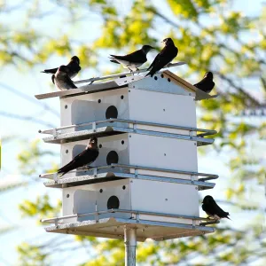 Fully-Assembled 12-Room Purple Martin Birdhouse and Pole Set