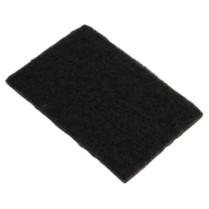 Griddle Cleaning Pad (10 Pack)