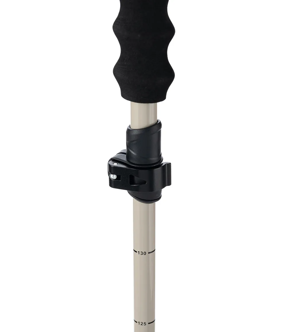 Pahto Ski Pole