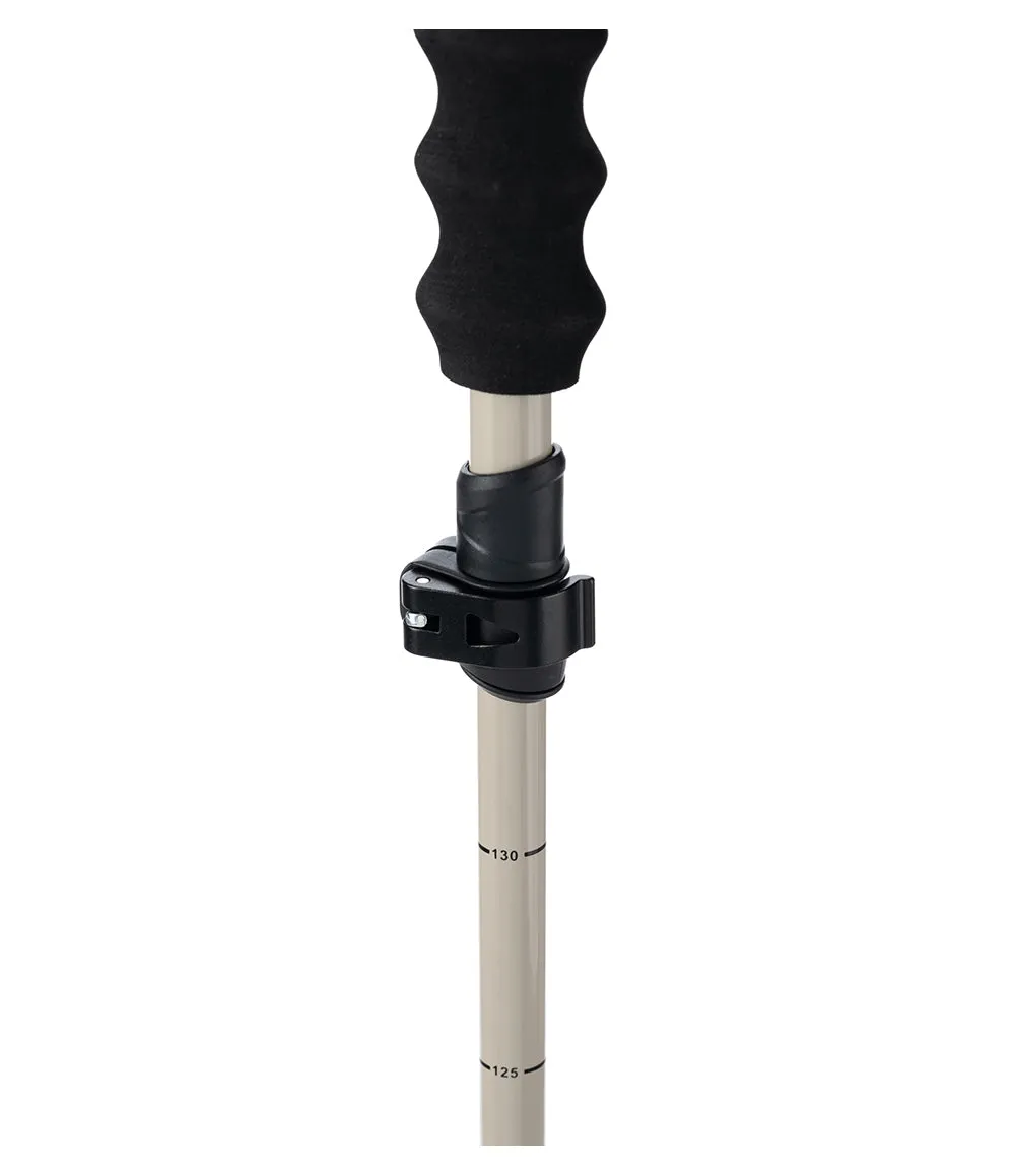 Pahto Ski Pole