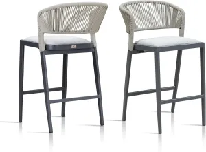 PURPLE LEAF Counter Height Bar Stool Set of 2 Outdoor Bar Stools Modern Bar Height Stools Wicker Barstools for Kitchen Island Dark Gray Island Chair