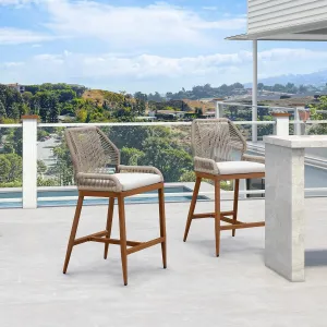 PURPLE LEAF Patio Sunbrella Counter Height Bar Stools 24" H Set of 2 Modern Rattan Bar Chairs Aluminum Stool Outdoor Wicker Barstools with Back and Cushion for Garden Kitchen Island