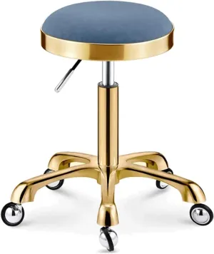 Round Salon Stool w/Wheels Hydraulic Leather Rolling Stool Heavy Duty Adjustable Height Work Shop Stool Load 150kg (Blue) (Blue)