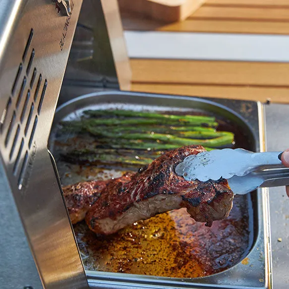 Schwank 1500 Degree Portable Infrared Grill - BB-1001-LP(NG)-SS-2