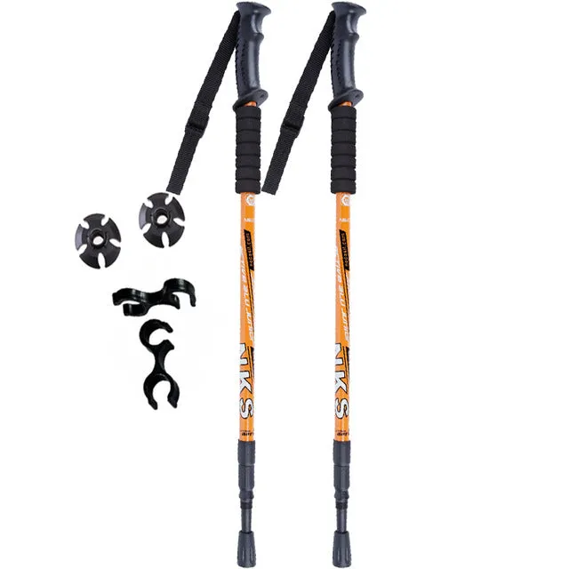 Shock-Absorbing Nordic Trekking Pole