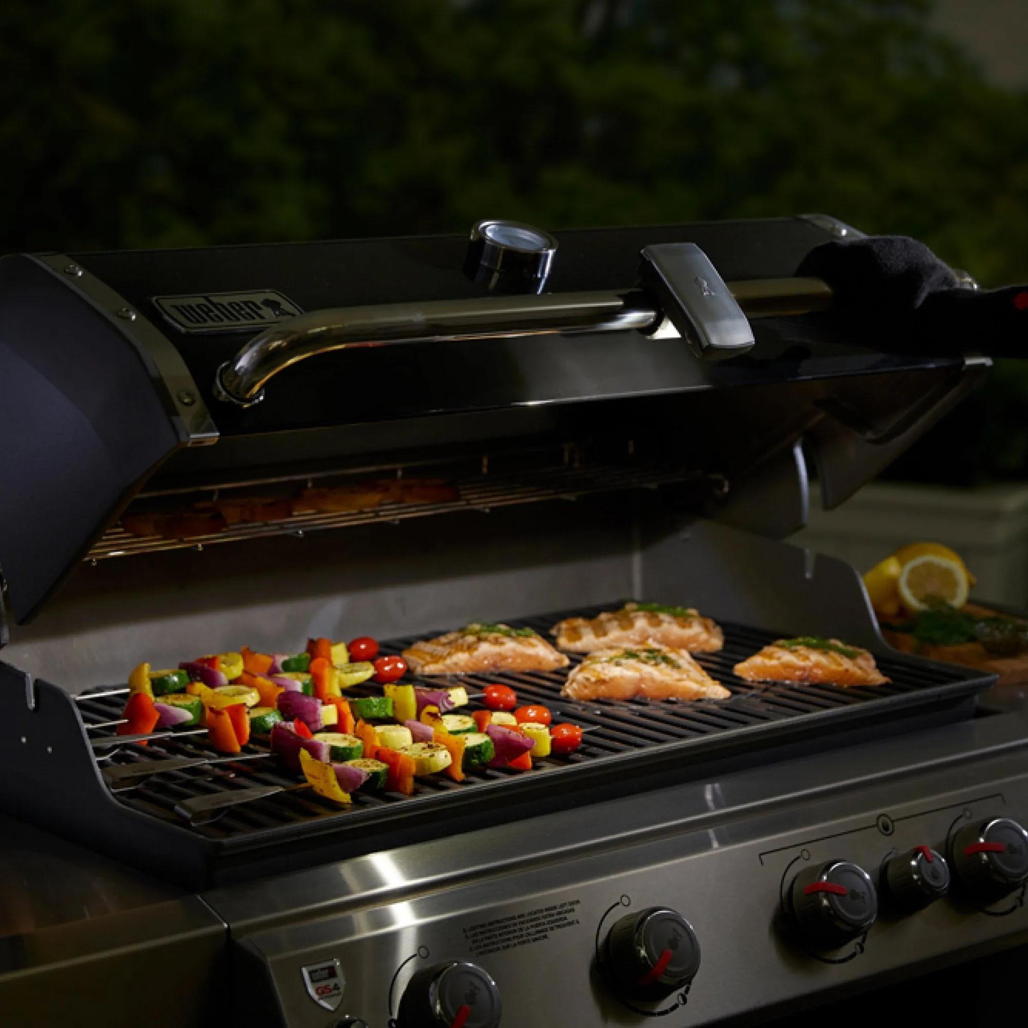 Weber Grill 'N Go Light