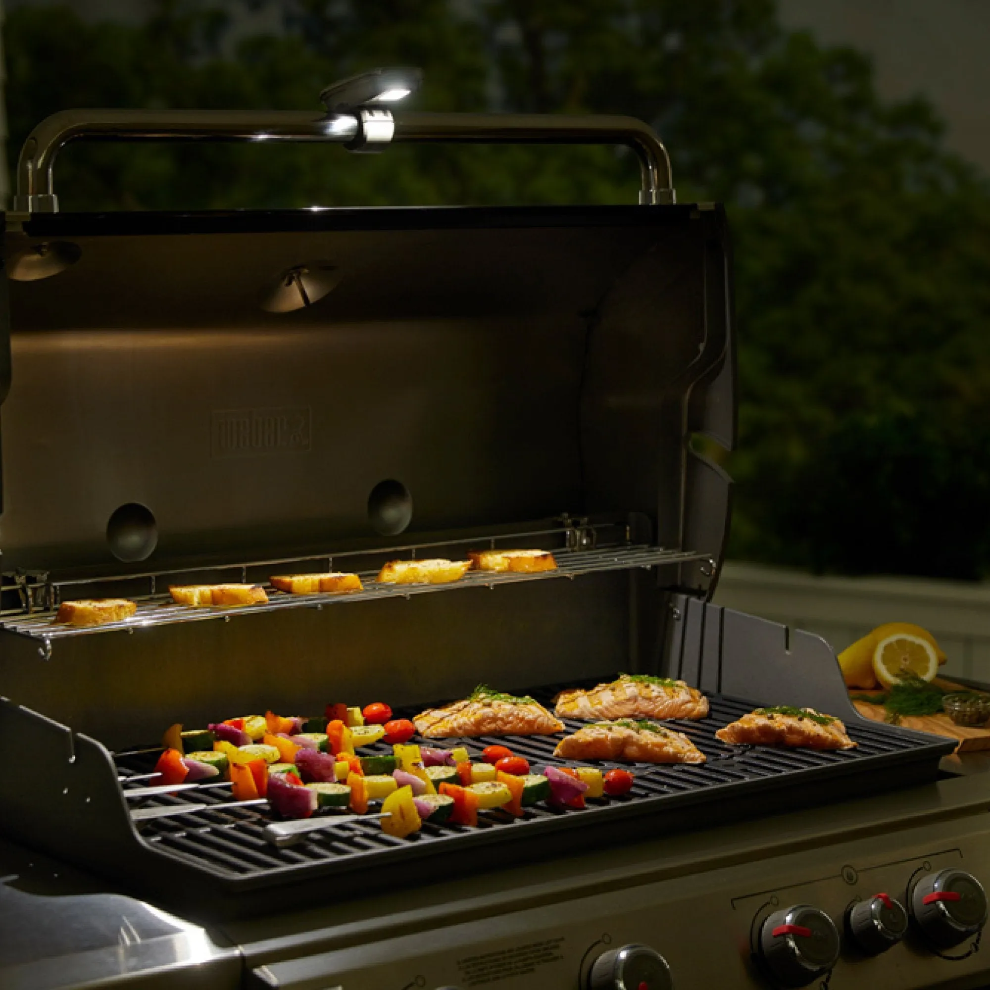 Weber Grill 'N Go Light